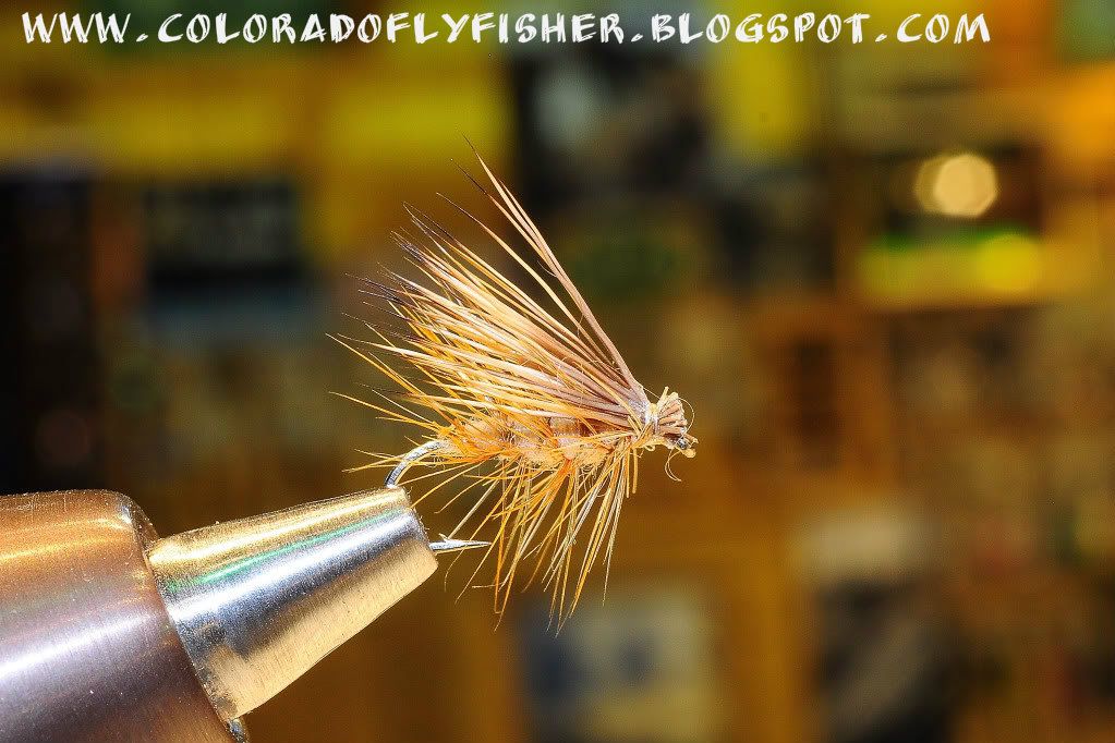 Colorado Fly Fishing Magazine Kleis's Top Ten Flies For Colorado